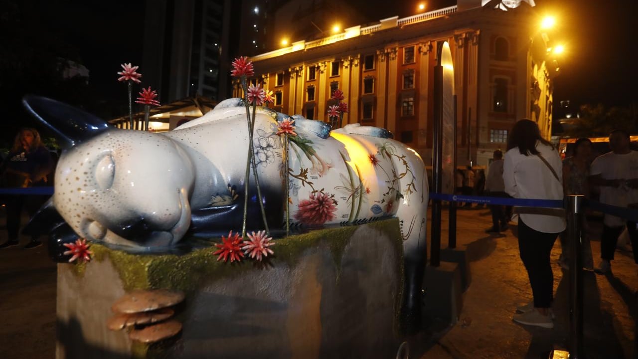 Así es la gata Floresmila, que nació en la COP16 como símbolo de la biodiversidad. Foto: CCC