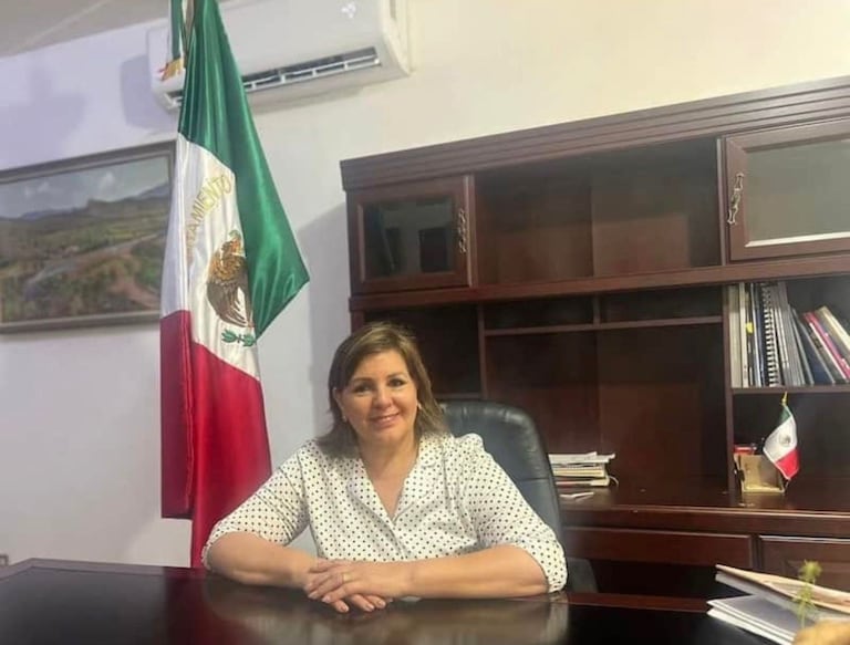 La alcaldesa de Bacanora, Nora Alicia Biebrich Duarte, resultó gravemente herida en un ataque armado en una carretera de Sonora; en el atentado su hijo fue asesinado.