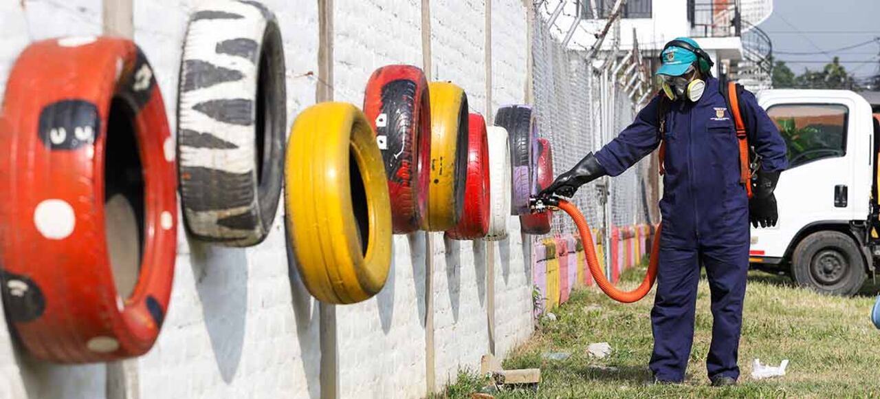 Alcaldía de Cali redobla esfuerzos frente al dengue