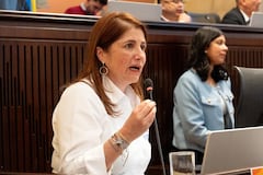 Defensora del pueblo, Iris Marín.