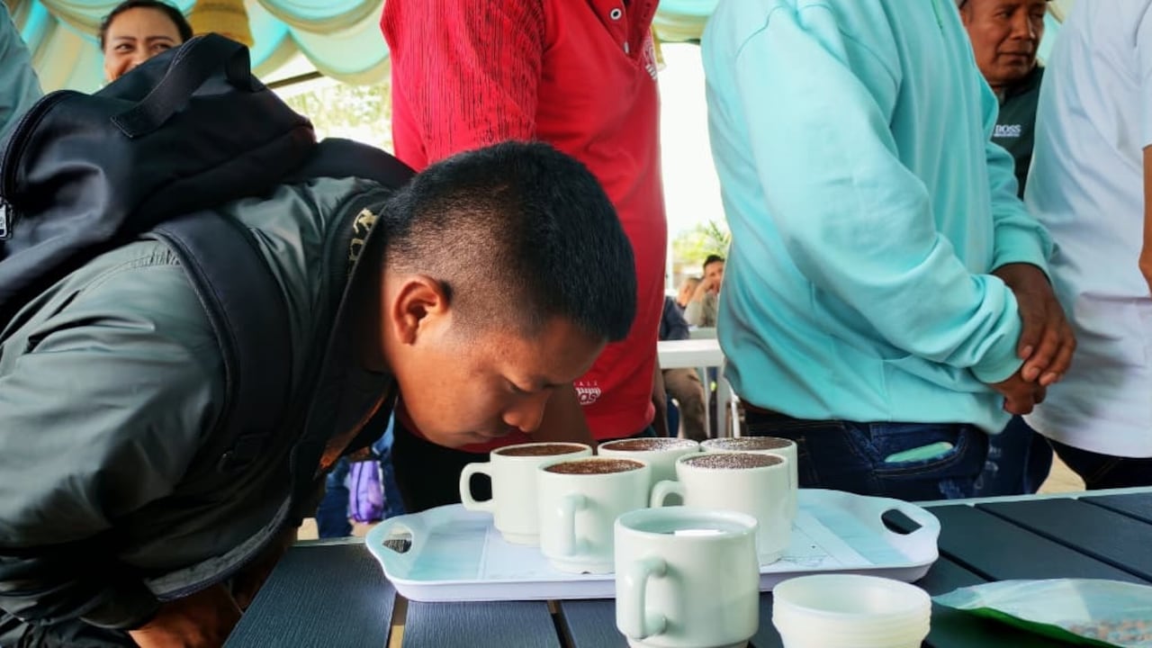 En el departamento del Cauca, los firmantes de paz mantienen su compromiso de sacar adelante estos proyectos productivos como forma de contribuir a la construcción de tejido social en esta región de Colombia.