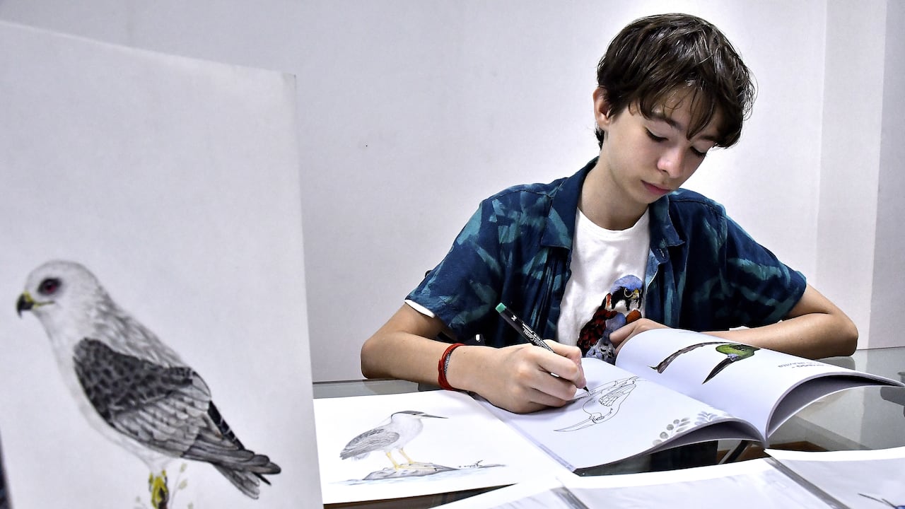 Israel Sánchez, Ilustrador de aves