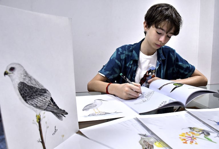 Israel Sánchez, Ilustrador de aves