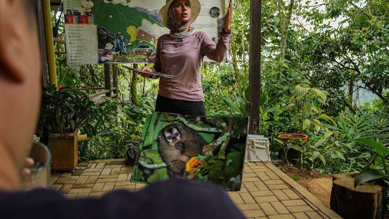 Ubicada a pocos minutos de la ciudad de Cali esta reserva natural trabaja desde hace más de una década por la conservación de los ecosistemas de la zona rural.