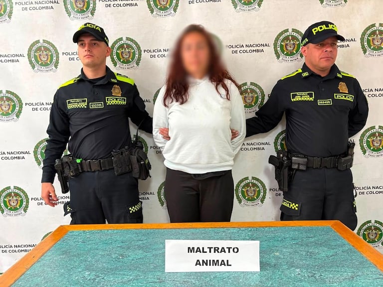 Mujer fue detenida en Medellín por presunto maltrato animal durante una discusión familiar