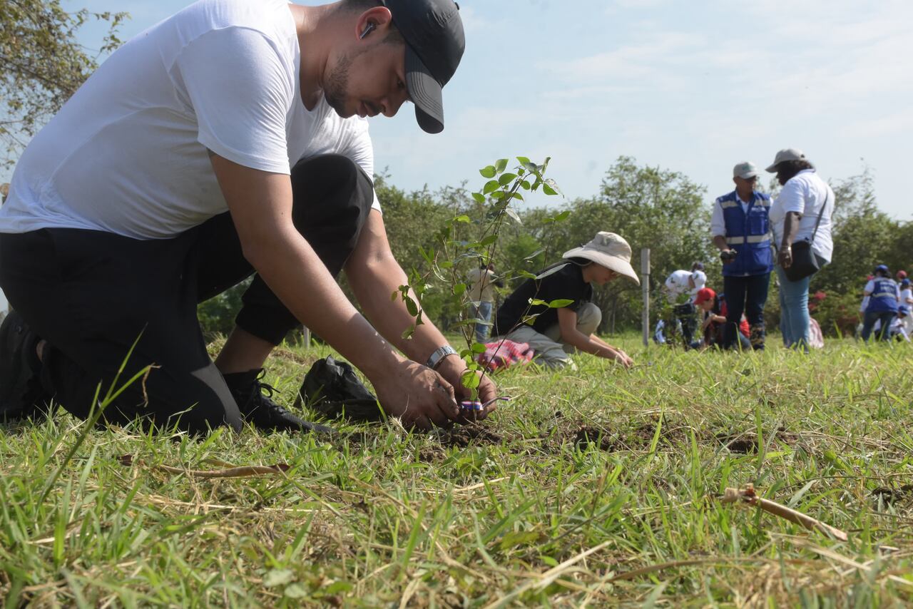 Siembra Simbólica de 200 Árboles por parte de EMSIRVA en el Antiguo Basurero de Navarro.