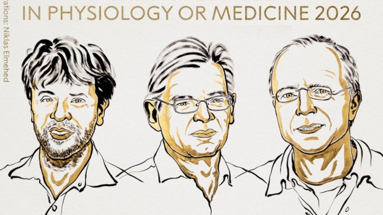 El Premio #Nobel de 2026 en Fisiología o Medicina ha sido otorgado a Karl Deisseroth, Peter Hegemann y Georg Nagel «por sus descubrimientos relativos a los canales iónicos activados por luz y la optogenética».