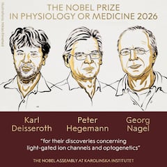 El Premio #Nobel de 2026 en Fisiología o Medicina ha sido otorgado a Karl Deisseroth, Peter Hegemann y Georg Nagel «por sus descubrimientos relativos a los canales iónicos activados por luz y la optogenética».