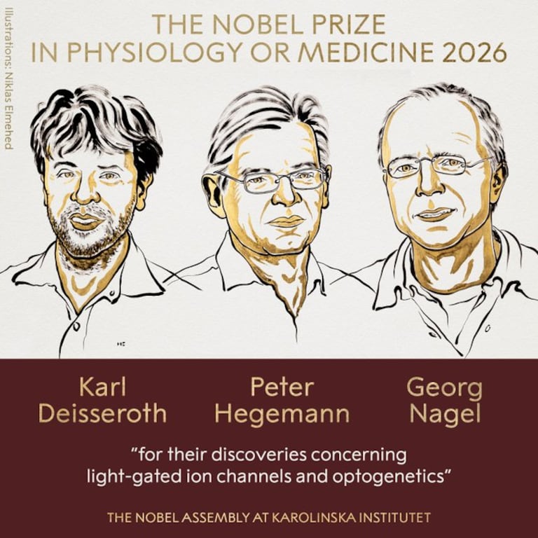 El Premio #Nobel de 2026 en Fisiología o Medicina ha sido otorgado a Karl Deisseroth, Peter Hegemann y Georg Nagel «por sus descubrimientos relativos a los canales iónicos activados por luz y la optogenética».