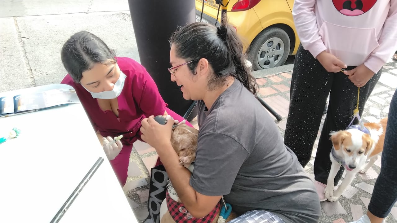 Habitantes de La Independencia participaron en la Feria Comunera para recibir orientación en salud y asesoría sobre trámites médicos.