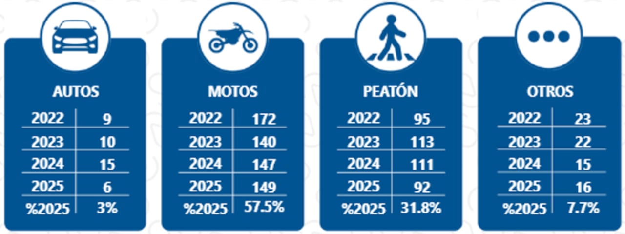 Mortalidad por actor vial, muertes accidentes de tránsito