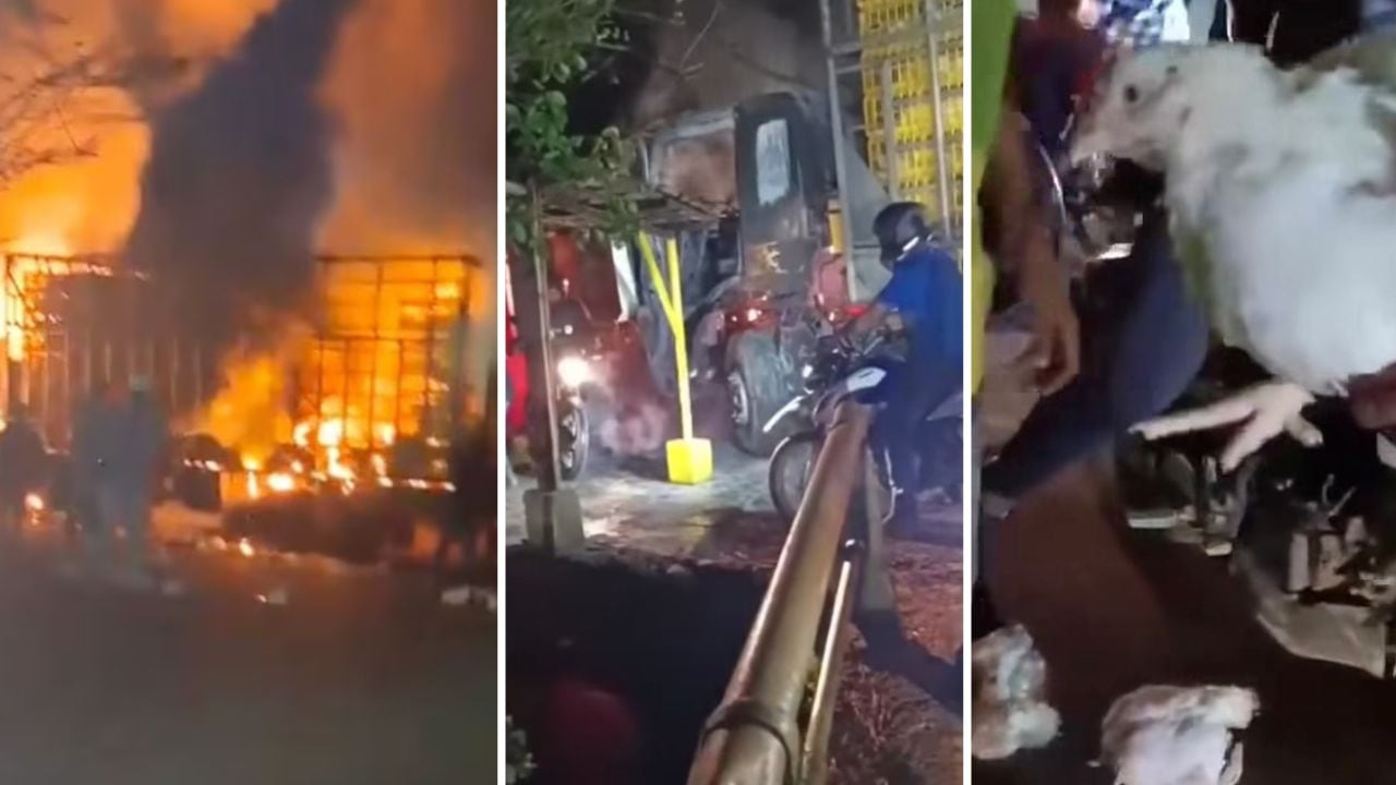Habitantes de Río Claro intentaron rescatar los pollos que eran transportados en un camión que fue incendiado en Jamundí.