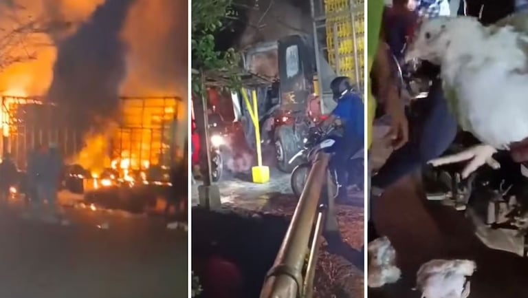 Habitantes de Río Claro intentaron rescatar los pollos que eran transportados en un camión que fue incendiado en Jamundí.