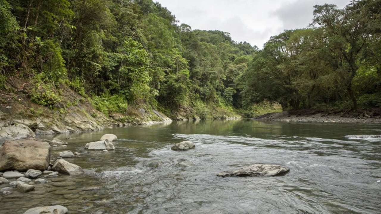 Agua Clara, Valle del Cauca