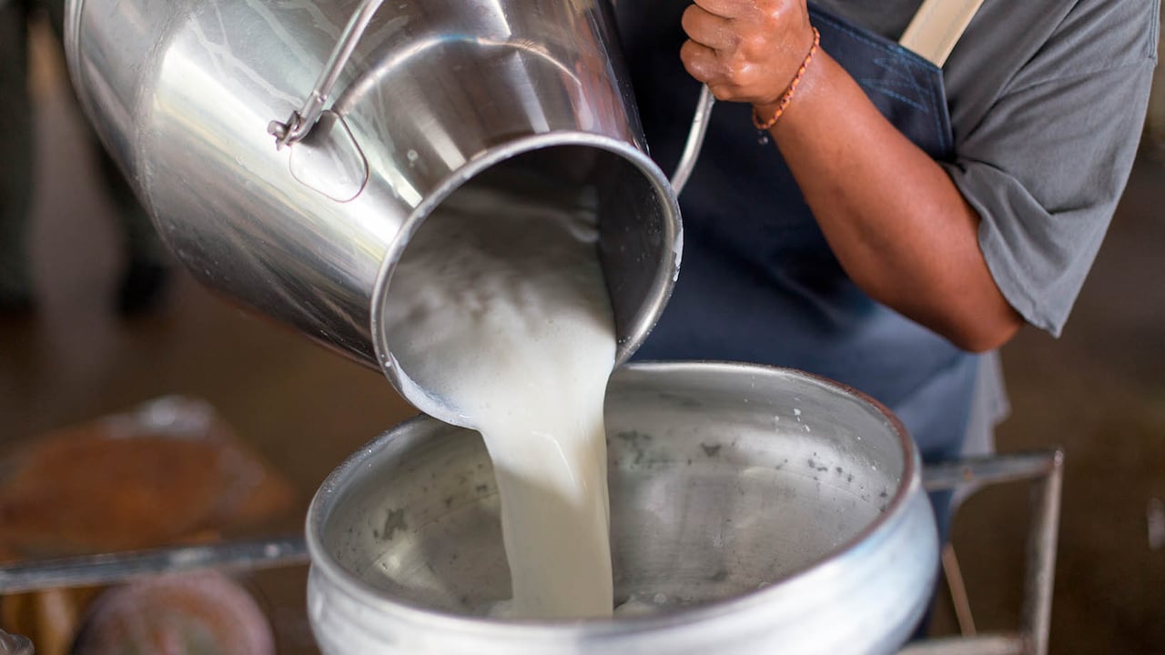 Sector lácteo (Foto cortesía-no usar)