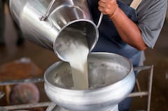 Sector lácteo (Foto cortesía-no usar)