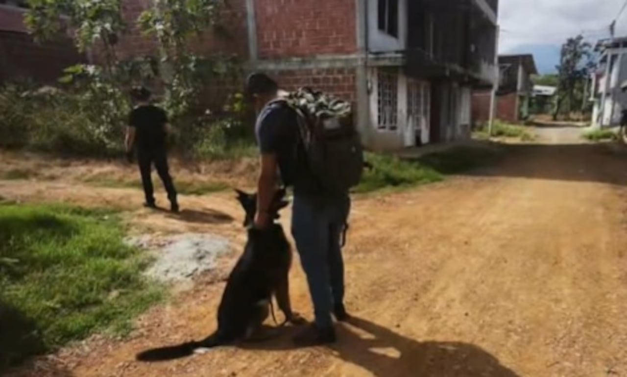 Expertos antiexplosivos de la Policía Nacional realizaron la destrucción controlada de un artefacto explosivo improvisado hallado en el barrio Lourdes Bajo, en Santander de Quilichao.