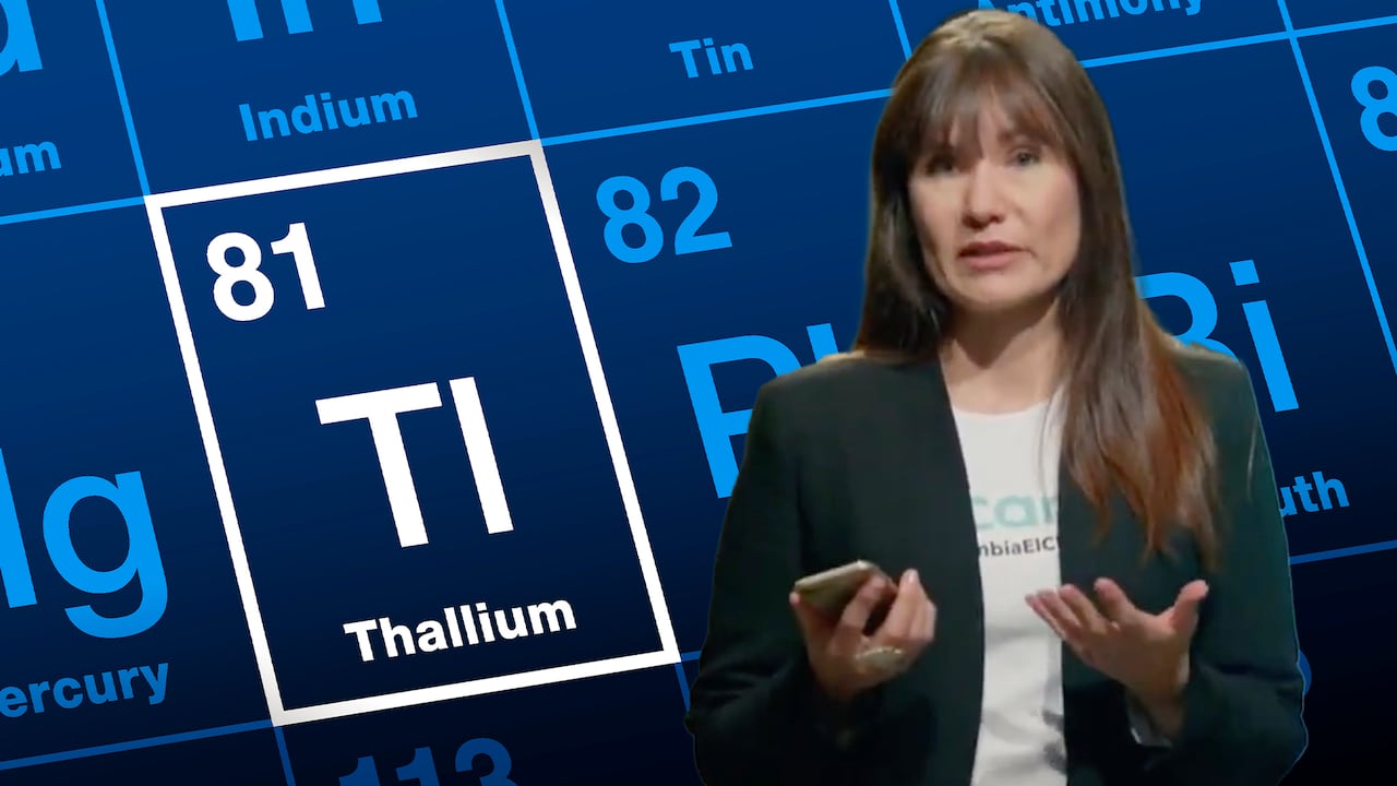 Zulma Guzmán Castro