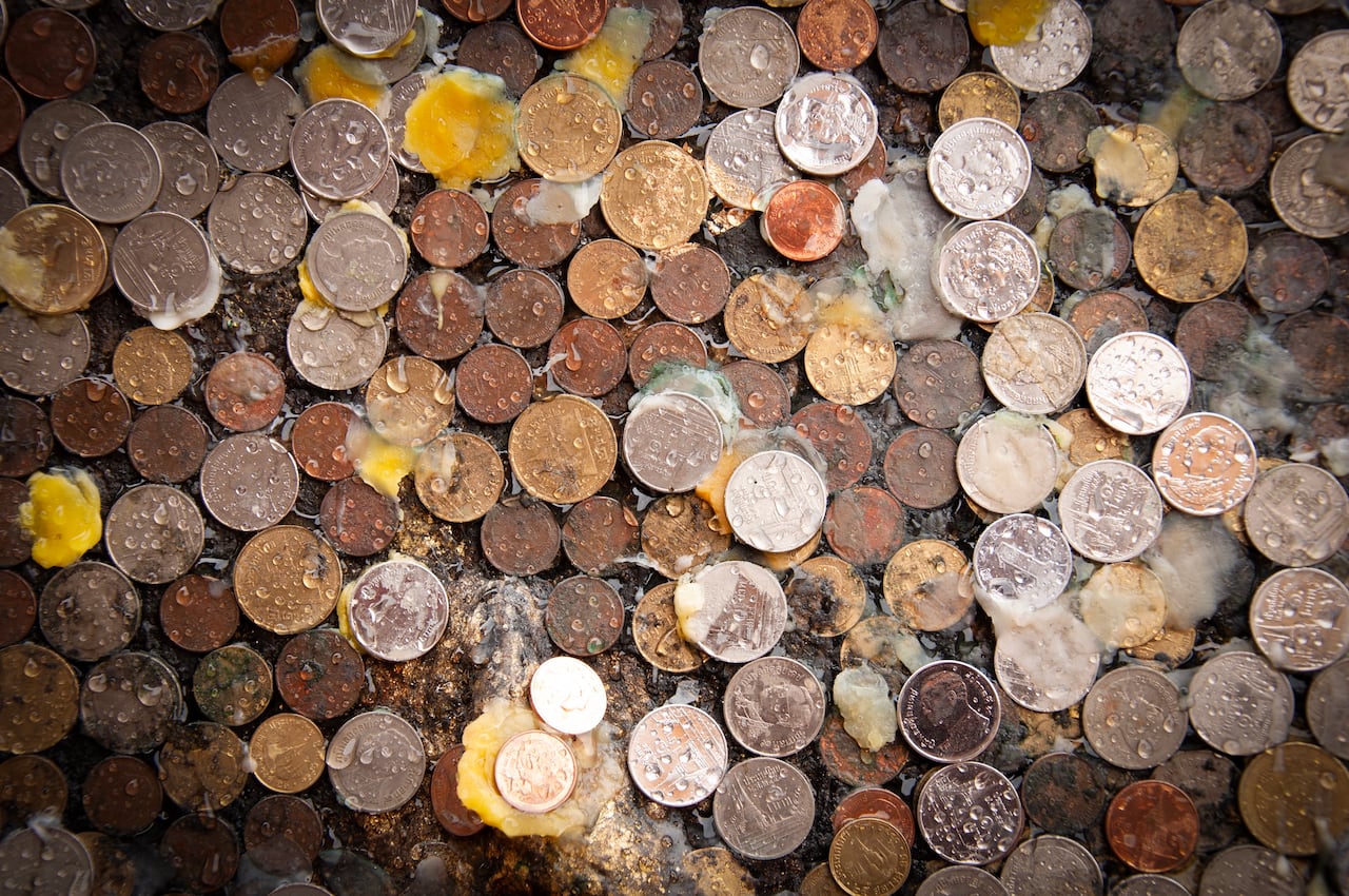 La pareja se llevó una gran sorpresa que los dejó atónitos.