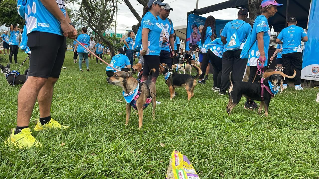 Caminata “Ladridos por La Paz”.