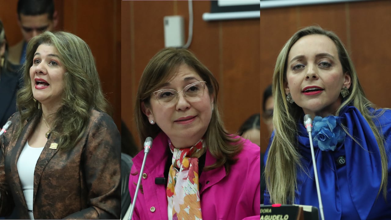 Las senadoras Lorena Ríos, Norma Hurtado y Ana Paola Agudelo radicaron la ponencia.