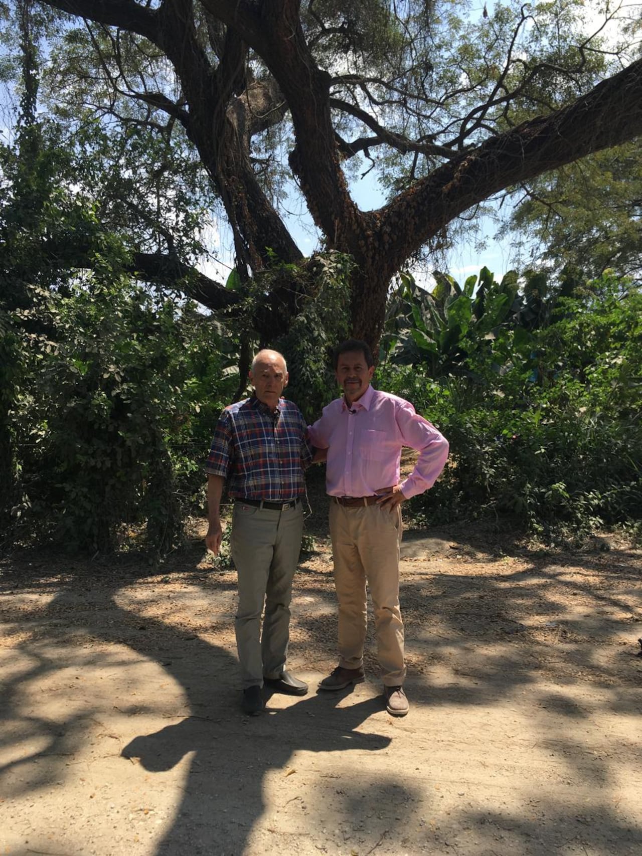 Alberto Medina López, 'La realidad de la ficción'