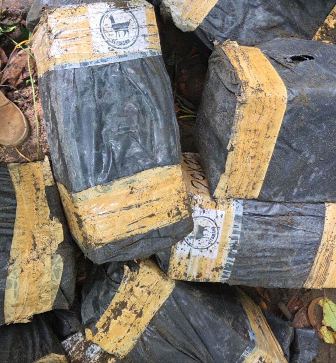 Encuentra enterrado cargamento de cocaína