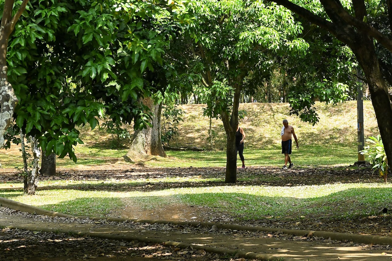 Cali tiene déficit de zonas verdes y árboles por cada habitante, lo que ha hecho que las islas de calor se intensifiquen en algunas zonas de la ciudad.Fotos Wirman Rios / El Pais.
