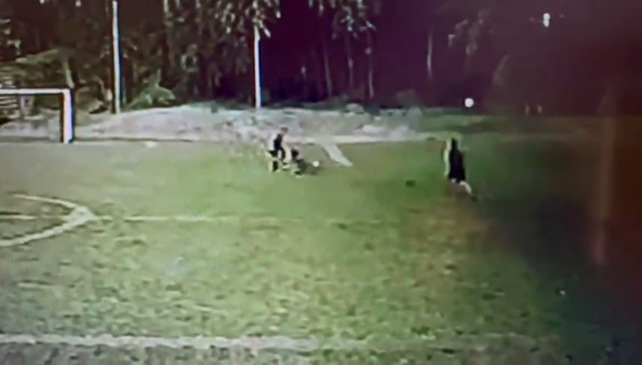 Imagen de la cámara de seguridad en el momento en el que el pequeño fue atacado mientras jugaba en el parque de la Urbanización Campestre.