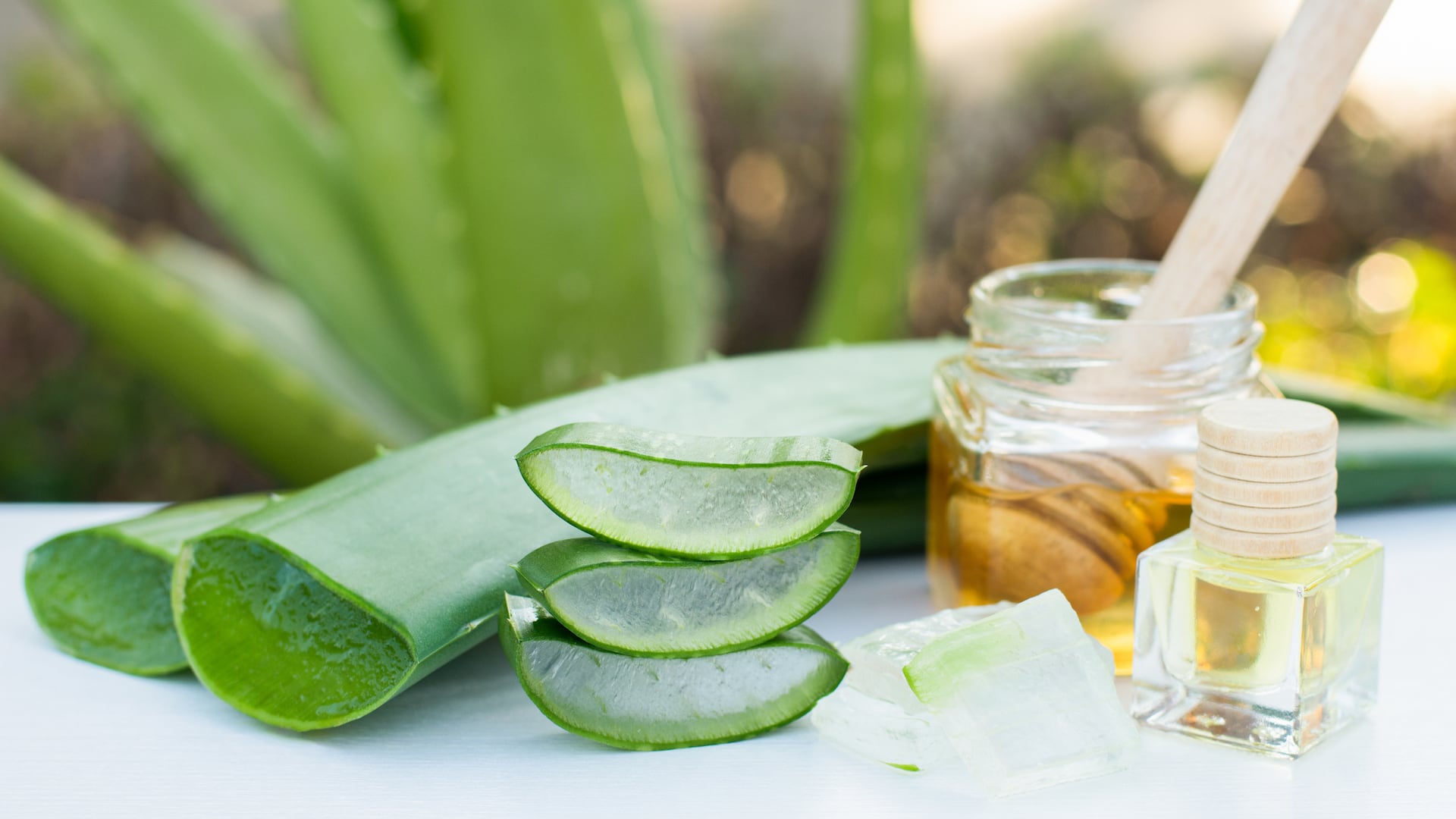 Cinco beneficios del aloe vera: una planta útil para la salud y la belleza - El País