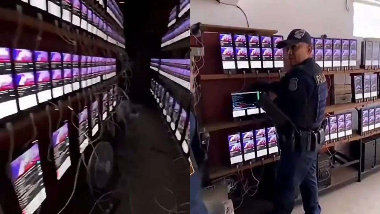 Autoridades brasileñas habrían desmantelado una “granja de visualizaciones” compuesta por más de 800 dispositivos, utilizada supuestamente para aumentar la popularidad de artistas e influencers y generar un éxito ficticio.