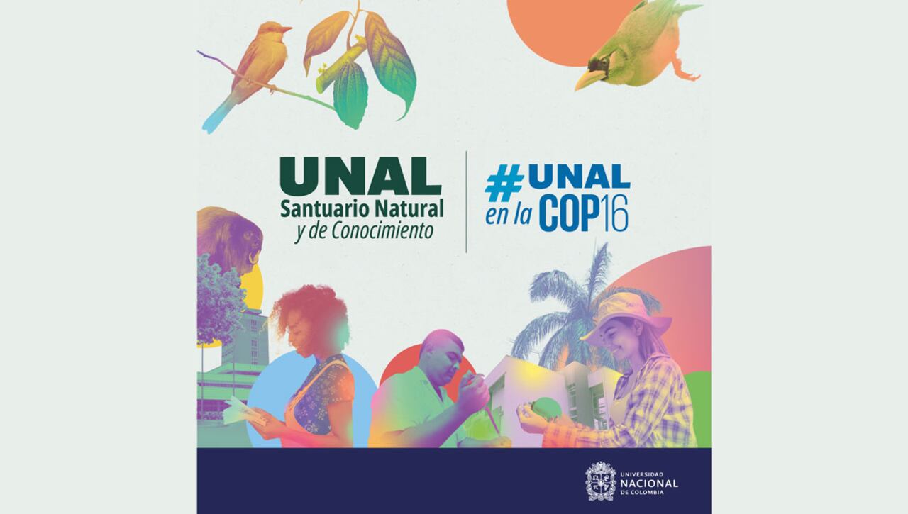 Conozca la agenda académica y disfrute de la riqueza de biodiversidad que aguarda la UNAL en esta zona del país.