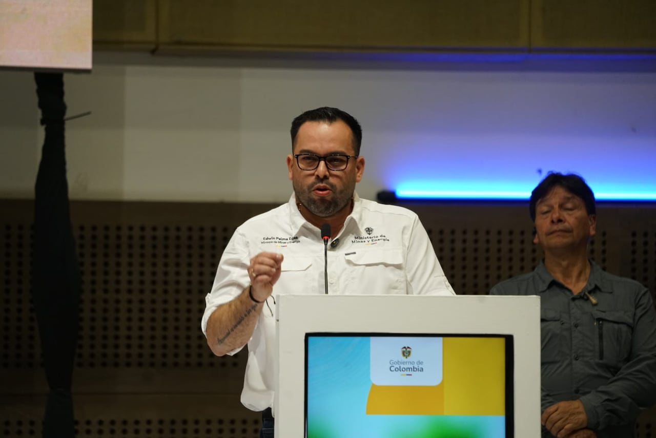 Ministro de Minas, Edwin Palma