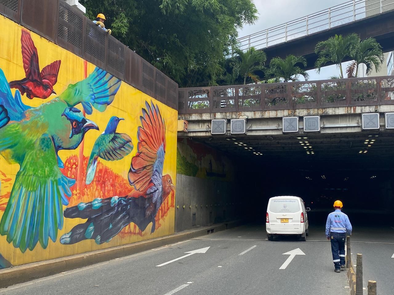 Emcali anuncia reparaciones en la Avenida Colombia por el Túnel Mundialista