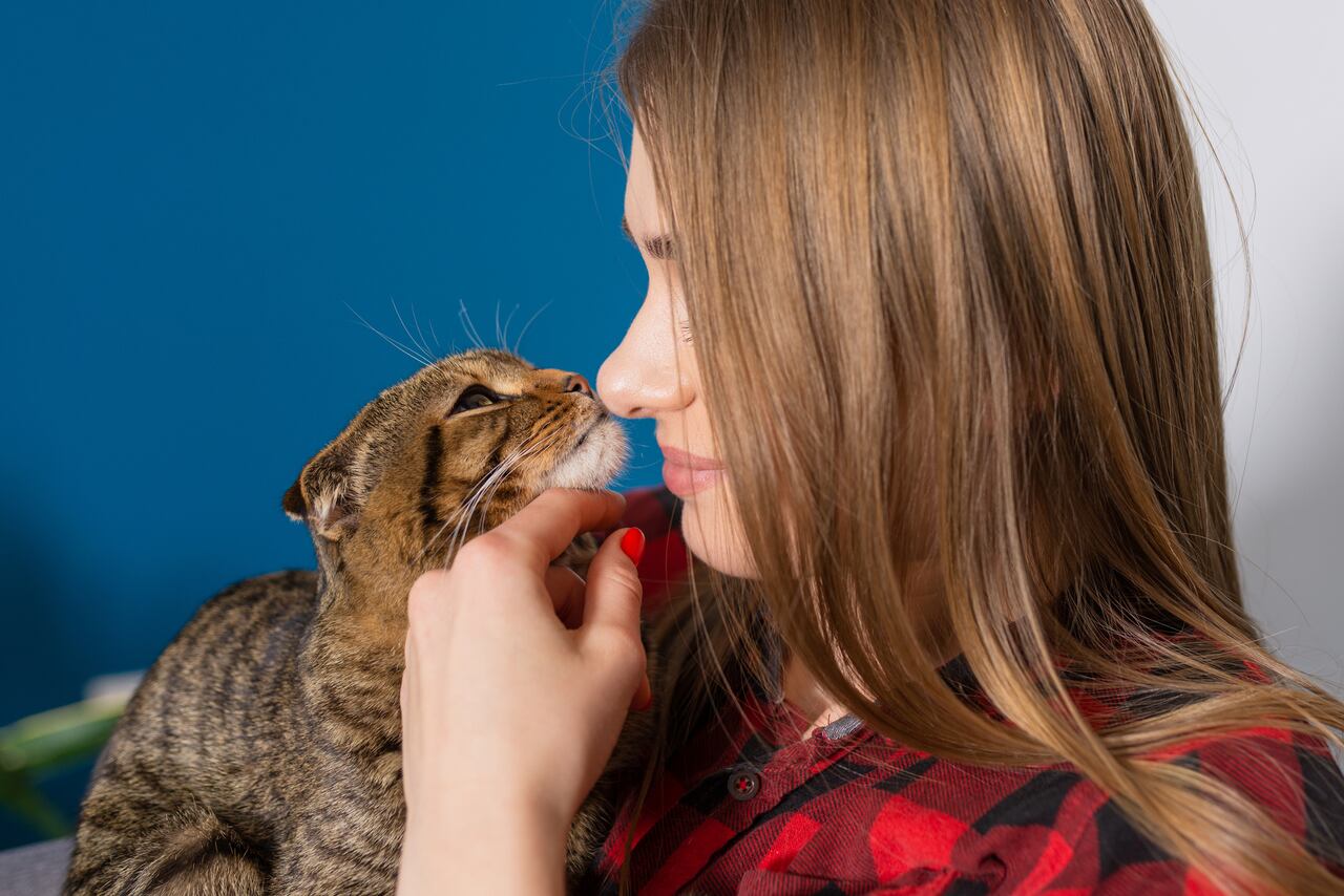 El acercamiento de los gatos al rostro de sus dueños es un comportamiento común, que aunque parece simple, tiene un significado más profundo dentro de la relación entre humanos y felinos.