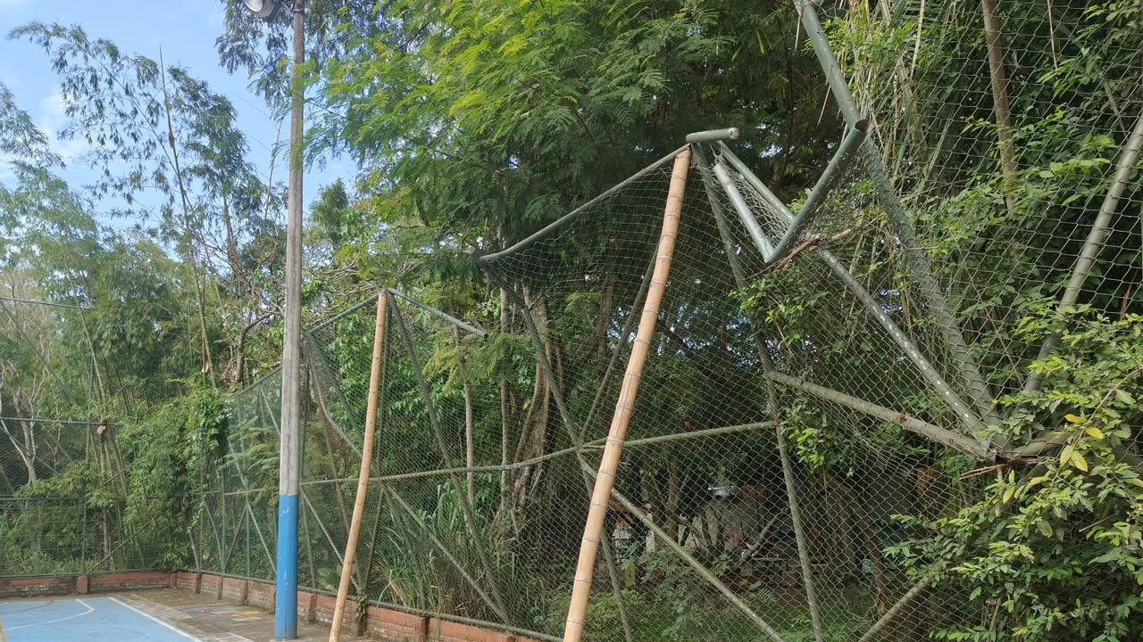 La estructura afectada permanece sostenida con guaduas mientras la comunidad espera las obras anunciadas para recuperar plenamente el escenario deportivo.