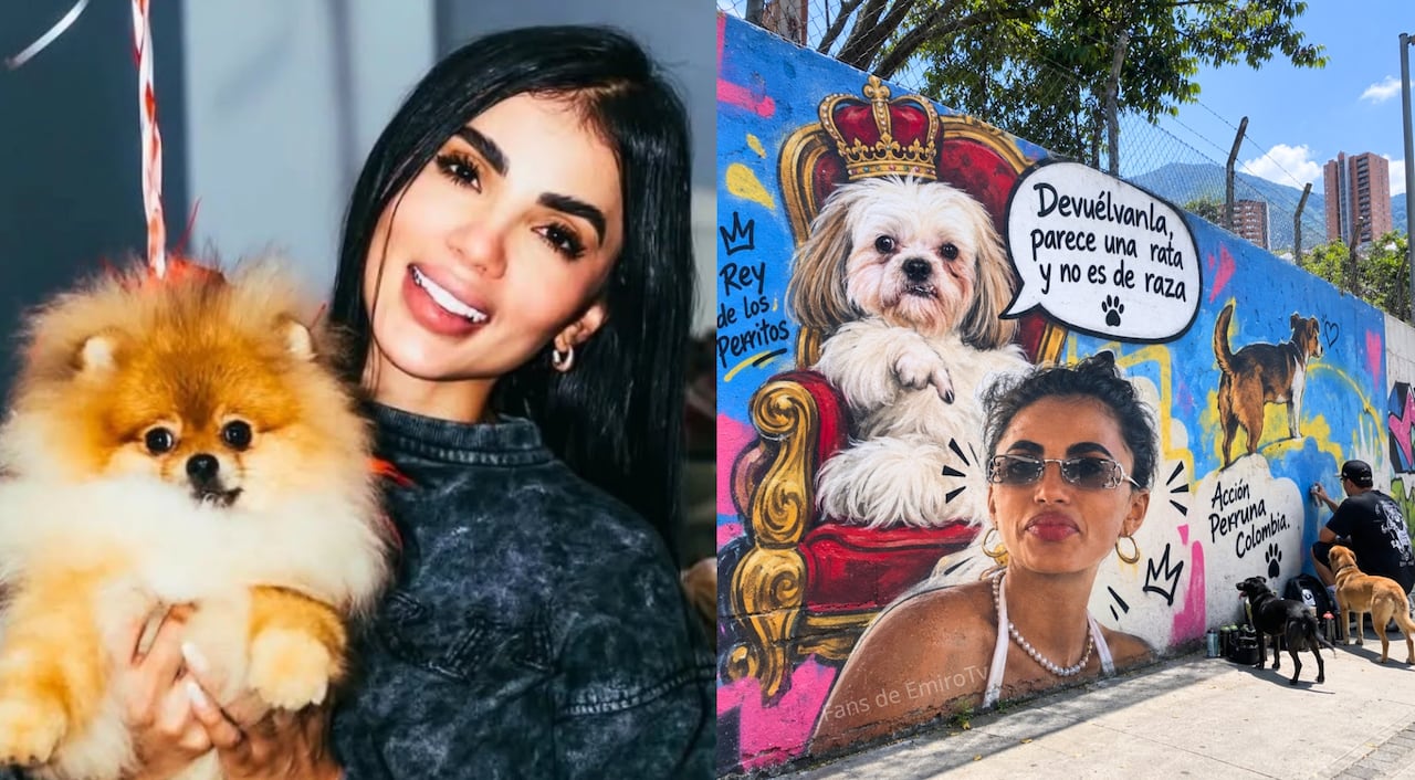 Viralizan supuesto mural contra Karina García