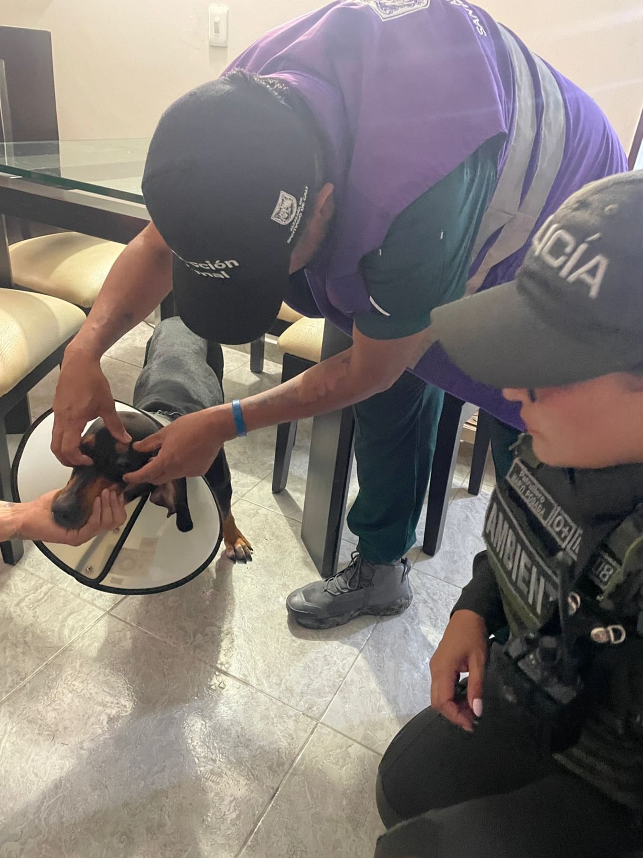 Personal de la Policía Ambiental de Cali realiza inspección preventiva de canino reportado por maltrato.