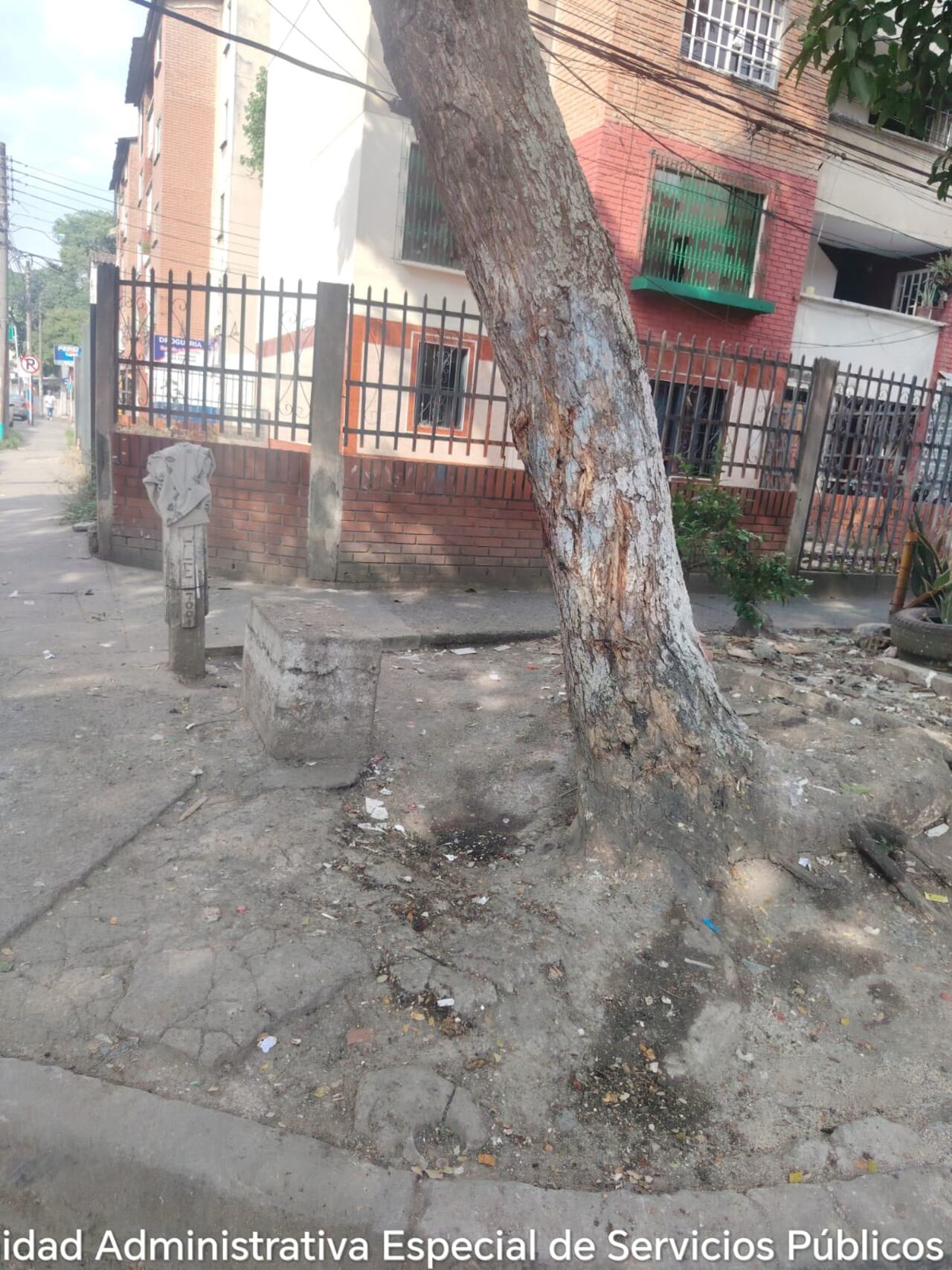 Aun después de las labores de limpieza realizadas por la UAESP, el punto vuelve a mostrar residuos arrojados.