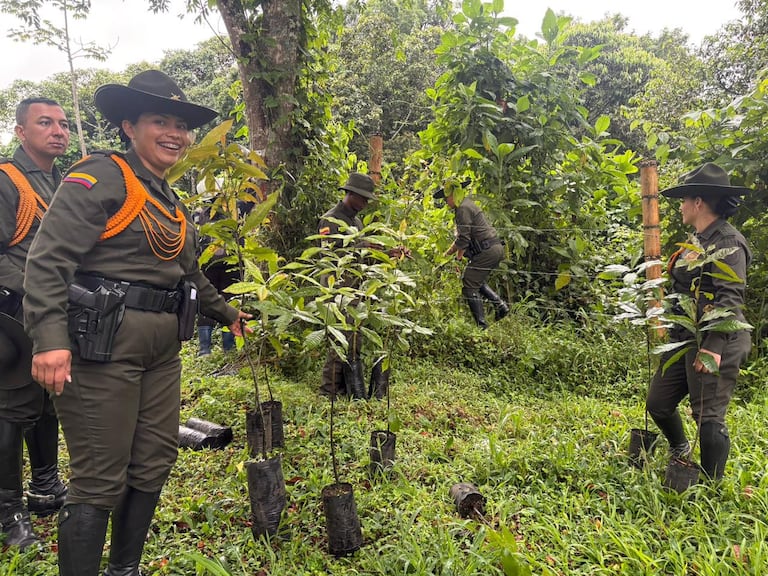 Integrantes de la Policía adelantaron una jornada de Protección Humedales en Popayán, Cauca.