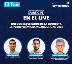 El análisis está a cargo de Danny Angarita, director de Cali Cómo Vamos; Álvaro José Pretel, economista e investigador en seguridad y defensa; y Adolfo Adrián Álvarez, director del Instituto de Investigación e Intervención para la Paz de la Universidad del Valle