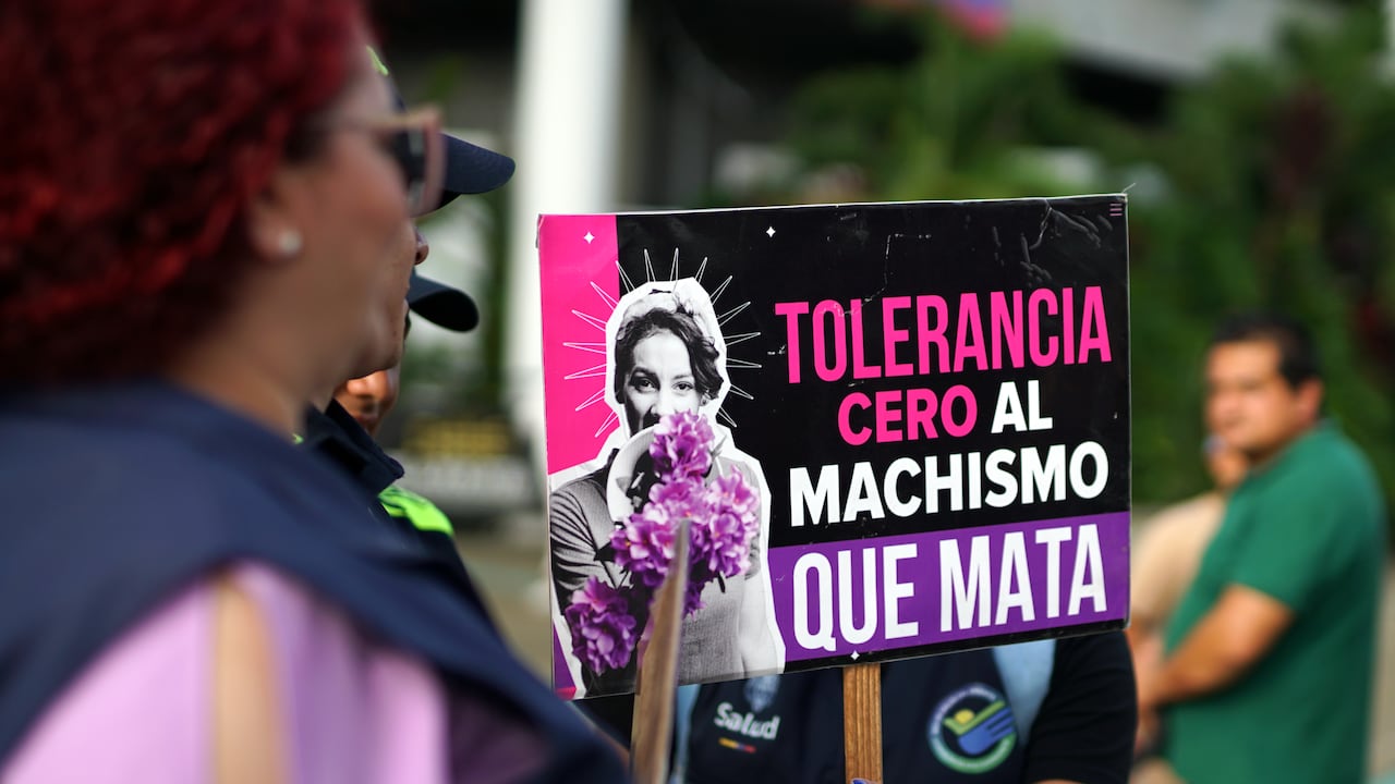 Cada 25 de noviembre se conmemora el Día Internacional de la Eliminación de la Violencia contra la Mujer. En Cali se realiazó una jornada para visibilizar la magnitud de la violencia contra mujeres y niñas a nivel global, aunque se presentó poca asistencia de gente.