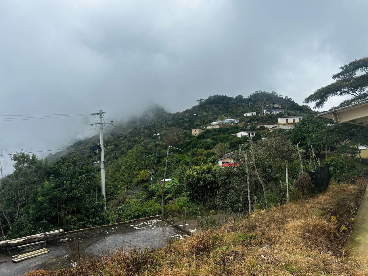 Líderes campesinos fueron los encargados de conformar la trágica noticia del asesinato del músico Guillermo León Buitrón.