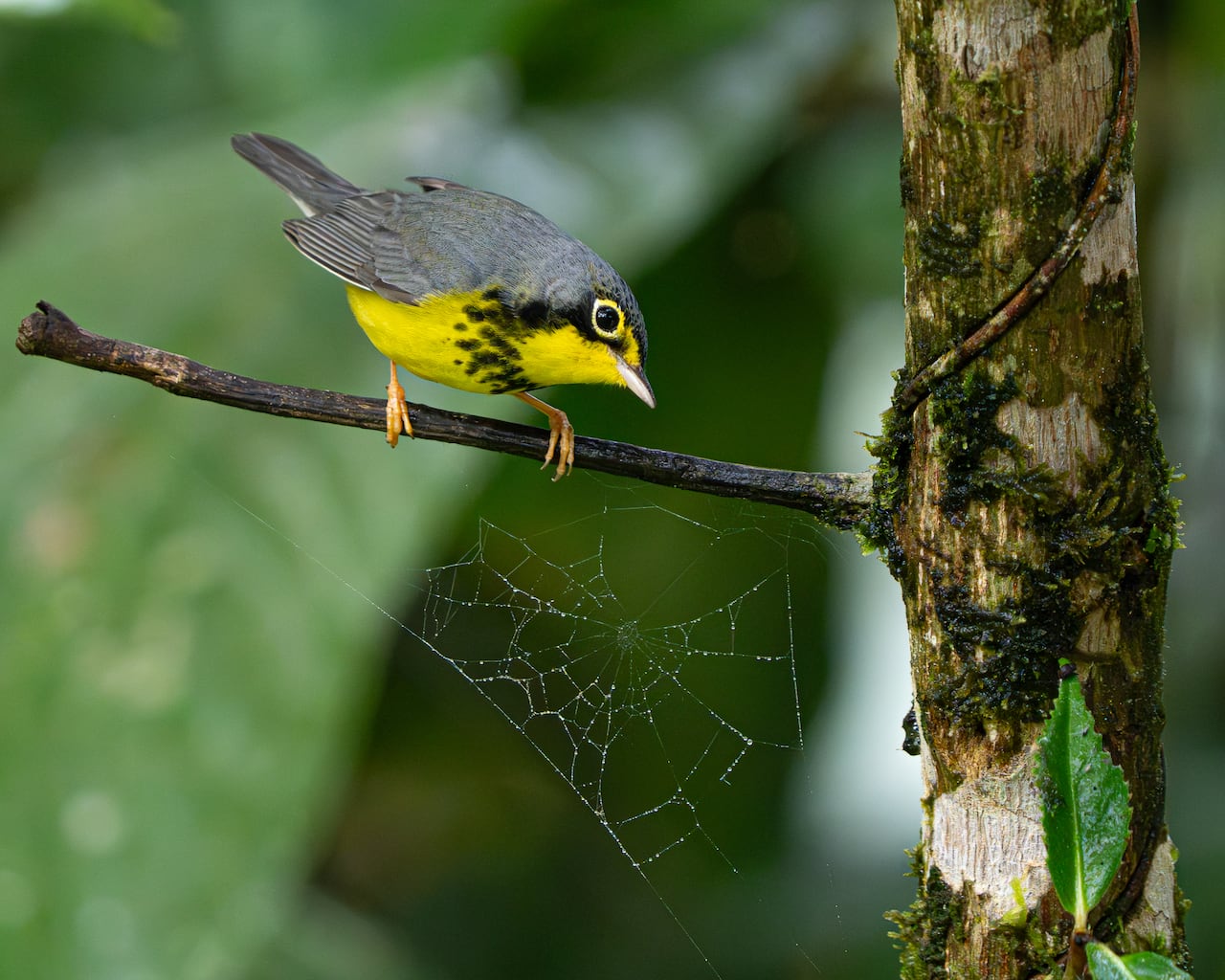 Fotografía de Juan David Camacho.