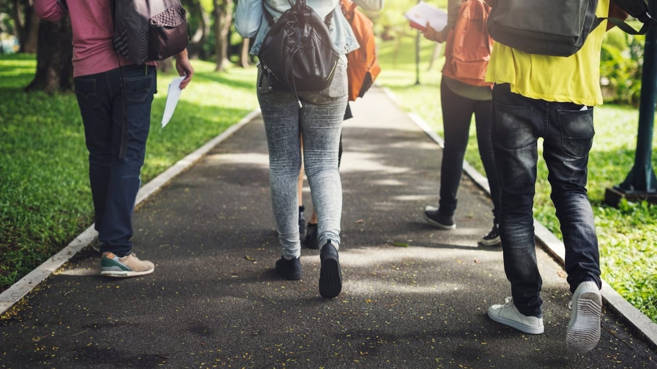Las instituciones que más le inspiran confianza a los jóvenes caleños son las universidades públicas y privadas, ya que esa es una tendencia entre los jóvenes colombianos. Por otro lado, las instituciones que no les generan confianza están la Policía Nacional, el Congreso de la República, el Consejo Nacional Electoral y las redes sociales.