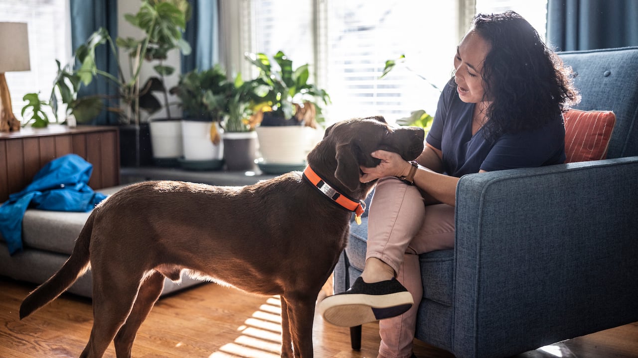 Woman playing with her dog in living room