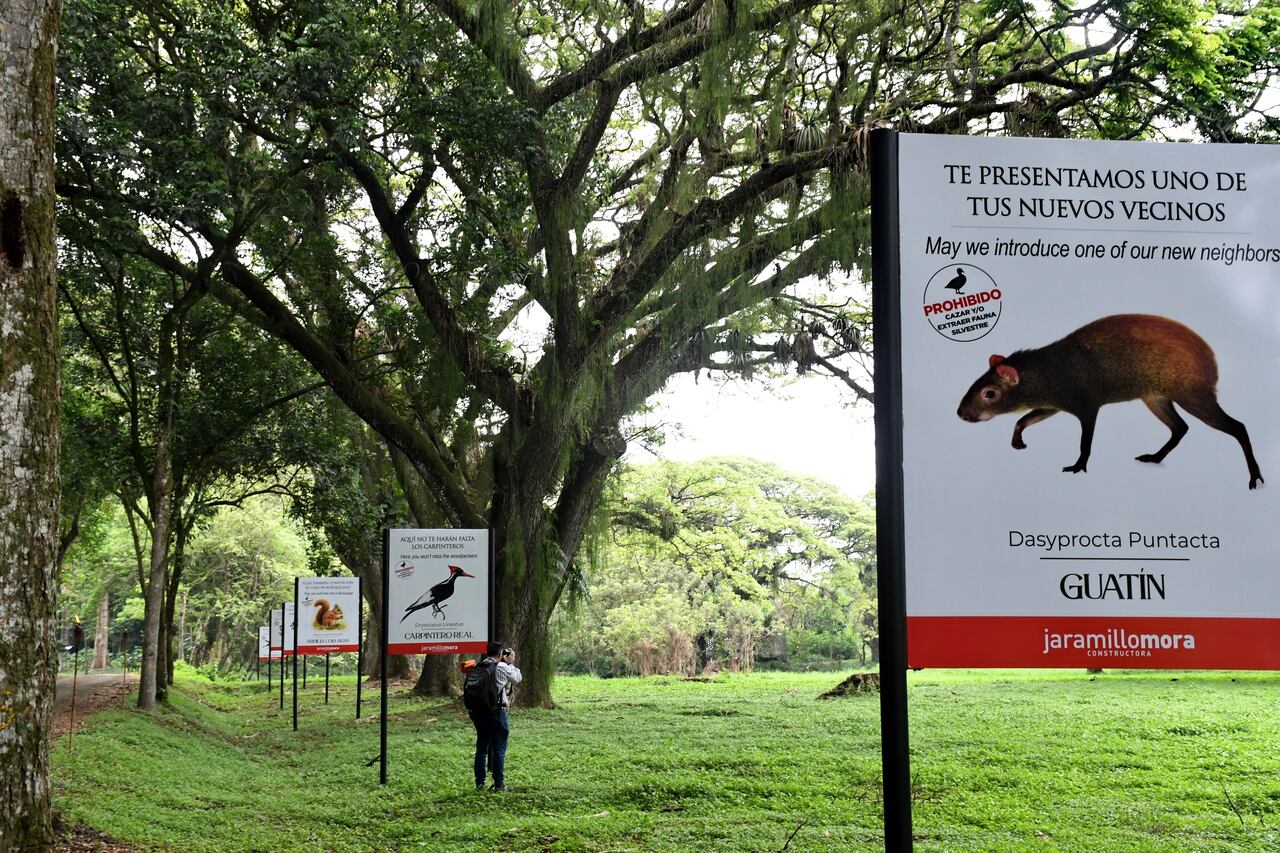 Cali: Cop 16, Visita de delegados de diferentes países que participan en la Cop 16 a proyectos de construcción de las empresas privadas encaminados por medio ambiente sostenible. La Constructora Jaramillo Mora presenta su proyecto Bosquelago en Jamundí. Foto José L Guzmán. El País