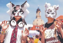 La comunidad therian está conformada, en su mayoría, por adolescentes. No están exentos de críticas y bullying.