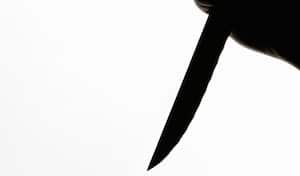 Según el informe de las autoridades, Sydney Powell le propinó 30 puñaladas su madre. (foto de referencia)