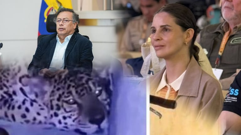 La llegada de un jaguar a la Amazonía desató cruce entre Gustavo Petro y Andrea Padilla